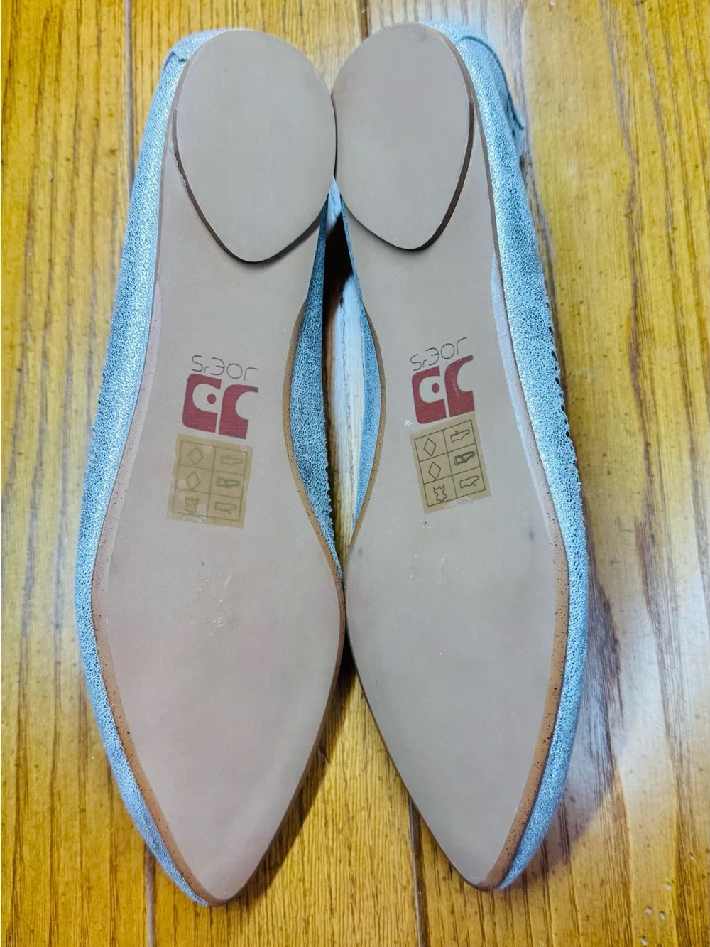 Joe’s Jeans Metallic Silver Pointed-Toe Flats — Laser Cut Detail ✨ 8.5